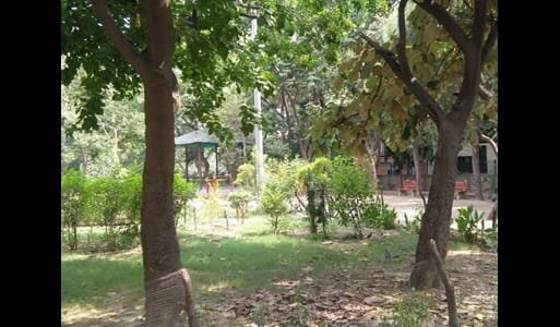 Gandhi Vihar, North Delhi